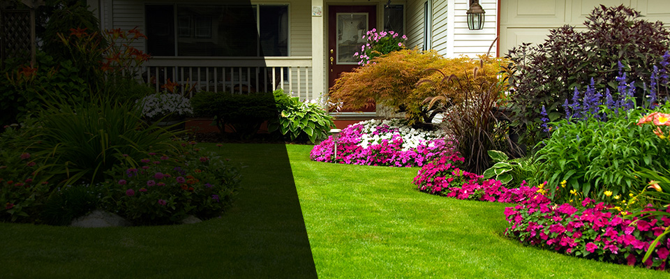 Henderson Landscapers