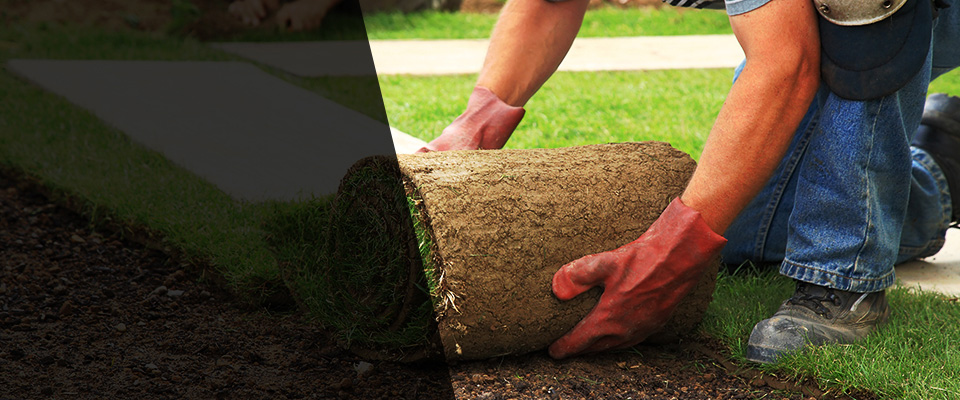 Henderson Landscapers
